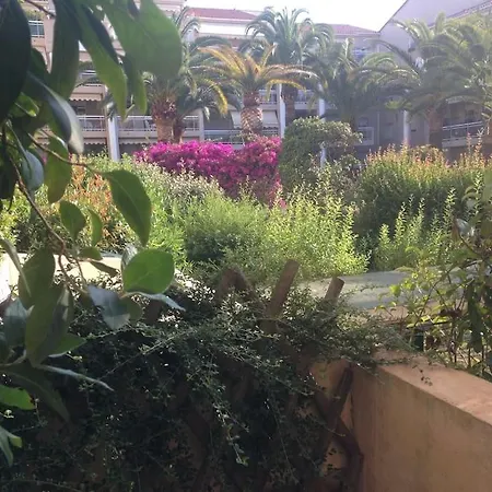 Eden * Cannes