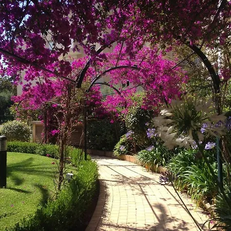 Lejlighed Eden Cannes